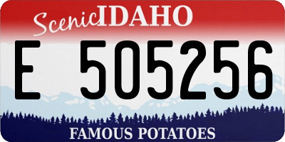 ID license plate E505256