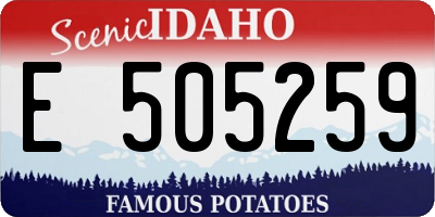 ID license plate E505259
