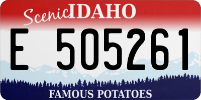 ID license plate E505261
