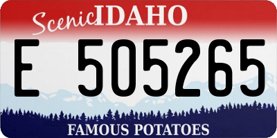 ID license plate E505265