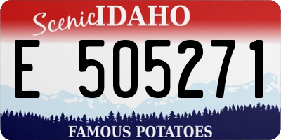 ID license plate E505271