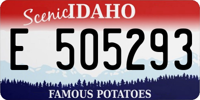 ID license plate E505293