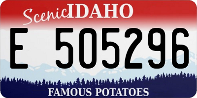 ID license plate E505296