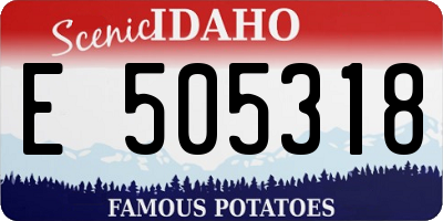 ID license plate E505318