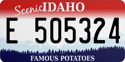 ID license plate E505324