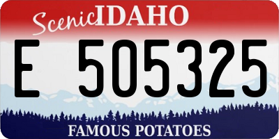 ID license plate E505325