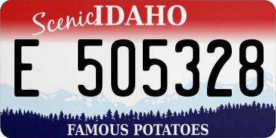 ID license plate E505328