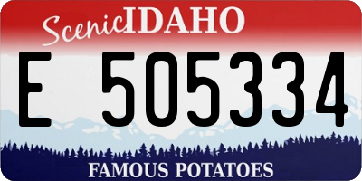 ID license plate E505334