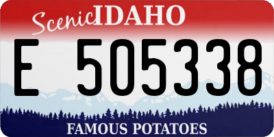 ID license plate E505338
