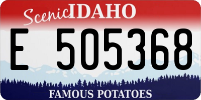 ID license plate E505368