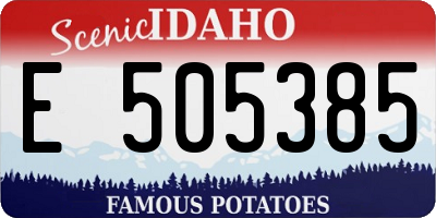 ID license plate E505385