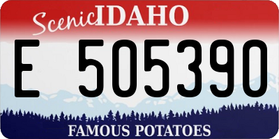 ID license plate E505390