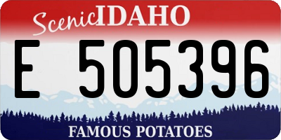 ID license plate E505396