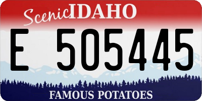 ID license plate E505445