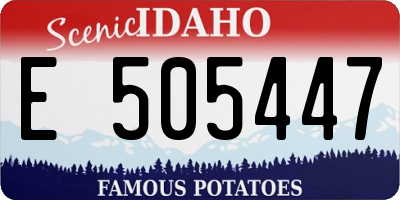 ID license plate E505447