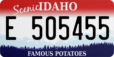 ID license plate E505455