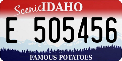 ID license plate E505456