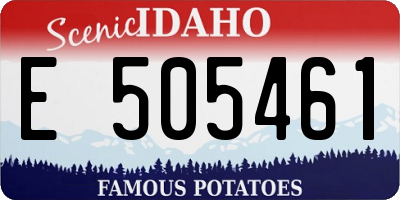 ID license plate E505461