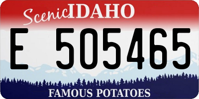 ID license plate E505465