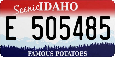 ID license plate E505485