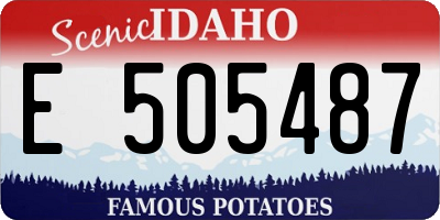 ID license plate E505487