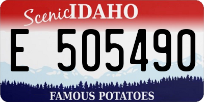 ID license plate E505490
