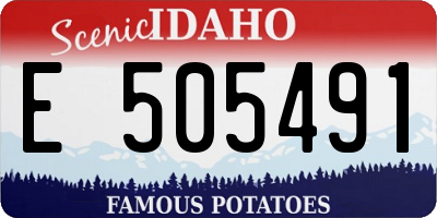 ID license plate E505491