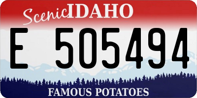 ID license plate E505494