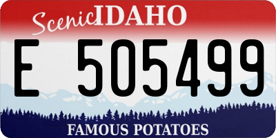 ID license plate E505499