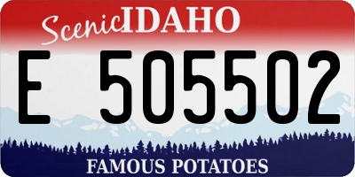 ID license plate E505502