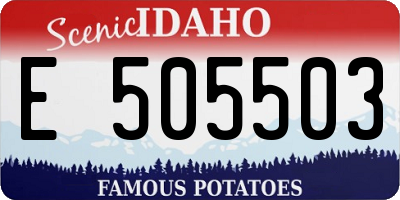 ID license plate E505503