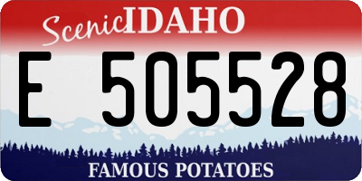 ID license plate E505528