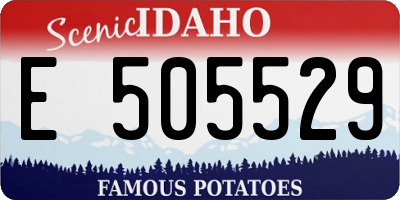 ID license plate E505529