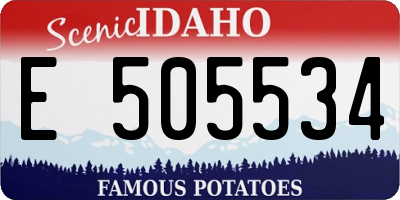 ID license plate E505534