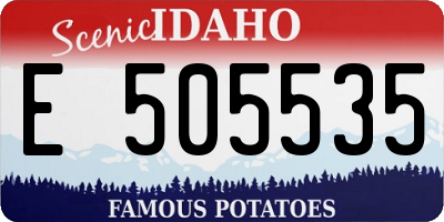ID license plate E505535