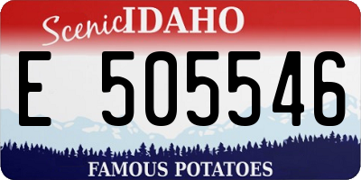 ID license plate E505546