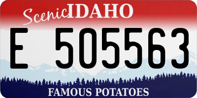 ID license plate E505563