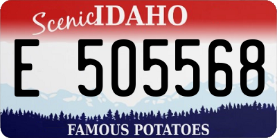 ID license plate E505568