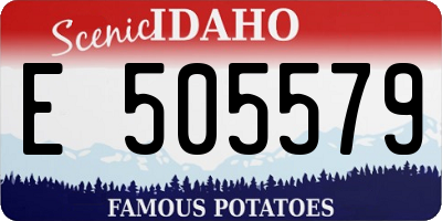 ID license plate E505579