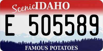 ID license plate E505589