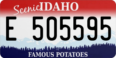 ID license plate E505595