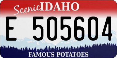ID license plate E505604