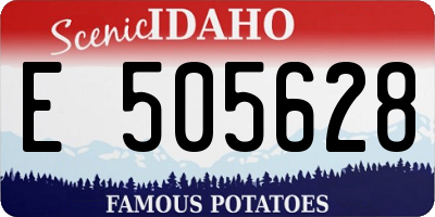 ID license plate E505628