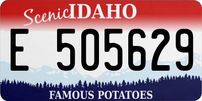 ID license plate E505629
