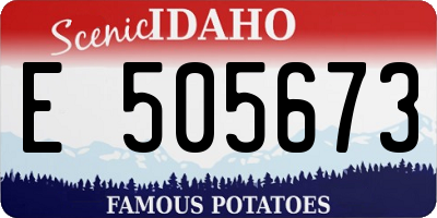ID license plate E505673