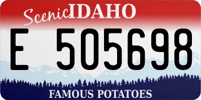 ID license plate E505698