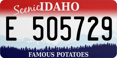 ID license plate E505729