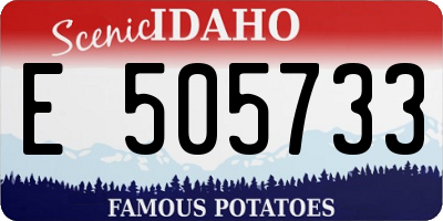 ID license plate E505733