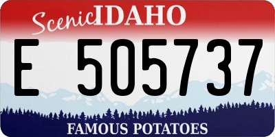 ID license plate E505737