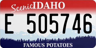 ID license plate E505746